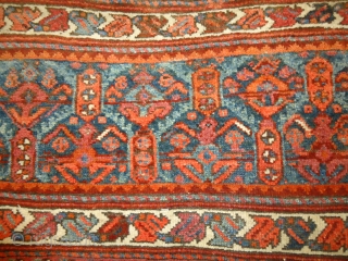 Big Kurd Jaf with very nice colours and excellent condition,fine weave.Ready for the display.                   