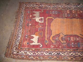 Qashqai Gabbeh lion rug. All original,very good condition,without any repair.
E.mail for more info.Size 7'7"*4'2".                   