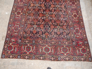 Beautiful Yezd carpet with herati pattren,very nice colors and fine weave,good age.E.mail for more info.                  