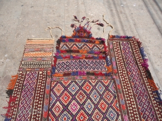 Northwest Persia Complete Camel Trapping,with beautiful colors and design,excellent condition,Very extra ordinary pce.E.mail for more info.                 