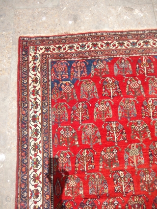 Red ground very finely woven Qashqai Rug with very good condition,all natural colors and beautiful design,All sides and corners are original just a little repair downside.Size 6*4 ft.E.mail for more info and  ...