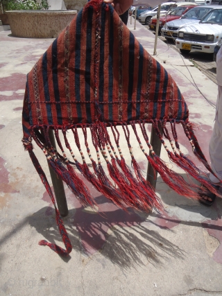 Turkoman Animal trapping with beautiful colors and tassele,good condition and very fine weave,E.mail for more info.                 