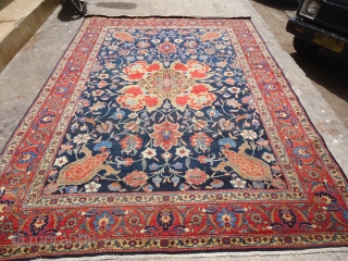 Beautiful Persian Rug with great colors and design,fine weave,good condition.Size 13*10 Ft.Ready for the floor.E.mail for more info.               