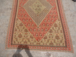 Finely woven Senneh Kilim with beautiful desigen,shrub desigen in the middle diamond,nice birds,nicely drwan,good colors and condition,some old restoration.Size 6'7"*4'3".E.mail for more info and pics.        