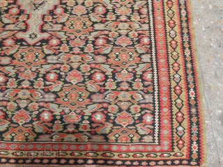 Very Fine Senneh Kilim ,beautiful natural colours and desigen,with birds in the white medallion,nice black ground.Good condition.Size 6' 6"*4'.E.mail for more info.           