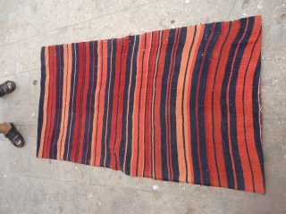 Large Camel Saddle bag,complete origianl kilim backing,all good colors,fine weave,without any repair or work done.Size 5'4"*3.E.mail for more info and pics.            