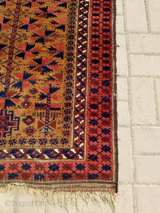 Camel ground Baluch Prayer Rug with silk highlights and beautiful border,soft shiny wool,all natural colors,very fine weave,kilim endings,all original without any work done.Size 4'4"*2'11".E.mail for more info and pics.    