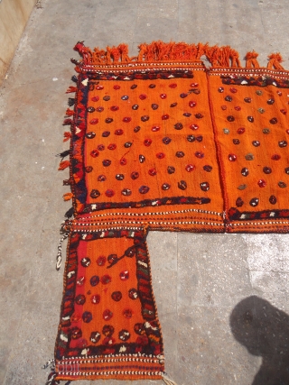 Qashqai or Shiraz Horse Cover,very nice colors and design,excellent condition without any repair or work done.Nice age and pce.Size 5'8"*5'2".E.mail for more info and pics.        