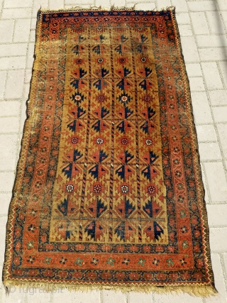 Camel ground Baluch rug with good colors and design,as found without any repair or work done. Size 5'2*2'11".E.mail for more info and pics.          