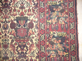 Afshar Rug superb Dolls and birds motif,good conidition,nice colours and beautiful dsigen,wool on cotton,Size 60*50 inches.Hand washed.                
