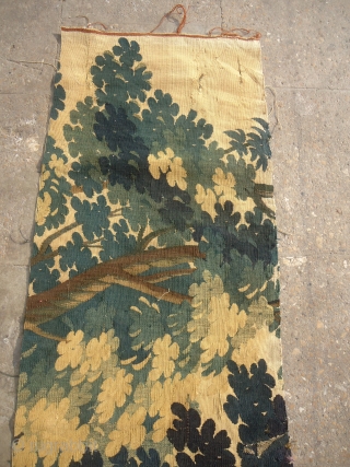 An early silk and wool Flemish Tapestrey Long Fragment ,17th-18th century ?.very fine weave,great colors and tree drwaing.E.mail for more info and pics.          
