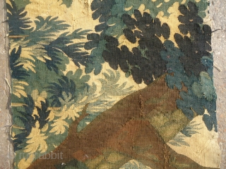 An early silk and wool Flemish Tapestrey Long Fragment ,17th-18th century ?.very fine weave,great colors and tree drwaing.E.mail for more info and pics.          