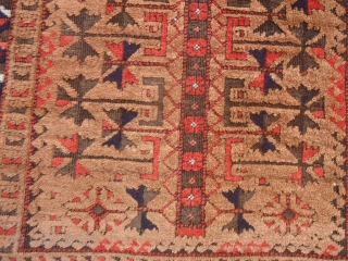 Camel ground Baluch Prayer Rug with great weave and dyes,both sides ends with kilim,very elegant design,excellent condition,all natural colors,very soft wool.Without any repair or work done.Size 4'11"*2'7".E.mail for more info and pics. 