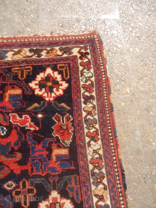 Afshar Rug with great natural colors,and very beautiful design,fine weave,all original without any repair or work done.Both ends have tiny kilim.Size 3'2"*3'.E.mail for more info and pics.      