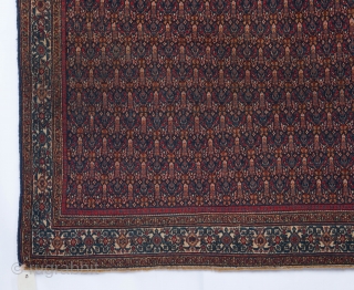 Very Fine BiBikabad Rug
Size 6.5 x 4.5 ft.                         