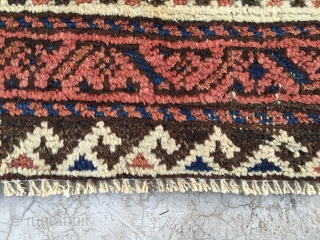 311 BELOCHI RUG FT (4 x 2.8) M (1.23 x 0.81)                      