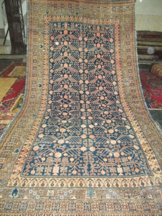 Samarkand 4.00 x 2.00 m                            