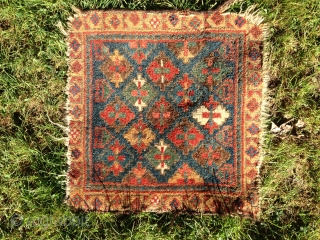 Cute little antique bagface. It needs bath! Shipping included in main land USA.
                    
