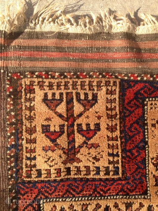 Hi All, I have this nice Baluch Prayer for sale. It's cleaned and ready to go.                 