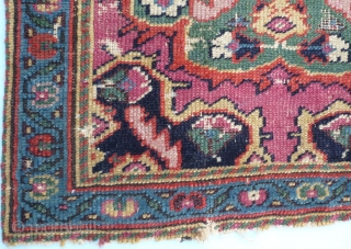 (60) Kurdish bag face, mid19th c., some moth damage but what a gem! 54 x 55 cm. Has good age and fine colors. 

- Kolya        