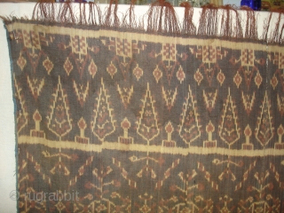 Finely dyed and woven warp ikat shawl from Nggela,Flores in Eastern Indonesia.Patola inspired design.Its size is 120cmX225cm(DSC02448 New).               