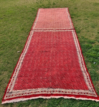 Chintz Kalamkari Wood Block And Hand-Drawn, Mordant- And Resist-Dyed Khadi Cotton, From Gujarat Western Part of India. India. 

C.1850-1900.

Exported to the South-East Asian Market. known as Saudagiri Prints.

 Its size is 142cmX450cm  ...