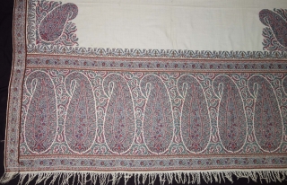 Palledar European Antique Jacquard  Pashmina Paisley  Shawl  From Europe.
The colour composition reflecting in this work defines revelry and the importance of such shawls. The butas of floral background and the applied Kani  ...