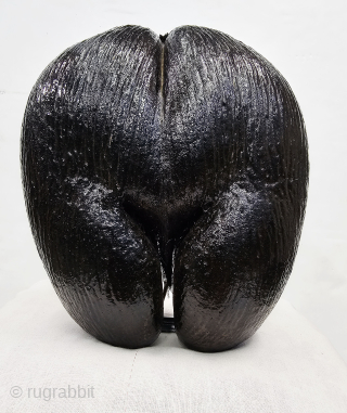 Coco De Mare , Coconut for Tantrik Worship,Composed of Two Coconuts shells that grow in this form.Probably from Seychelles Island.
C.1900 (20250814_114517).  Please Email me at kutcharts1@gmail.com      
