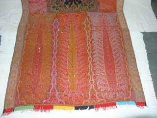Tree design Kalamkar long Shawl Showing the, twelve different variation of colour combination From Kashmir, India.C.1870.Its Size is 148cmx310cm. Condition Miner holes, which can be possible to make repair (DSC03744 New).  