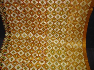 Phulkari From West(Pakistan)Punjab.India.Diamond Design Bagh With rare Influence of Multi-Colour Border(DSC07198).                      