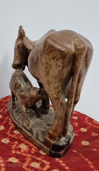 Very Unique Wooden Kamadhenu Cow,  the wish fulfilling cow of plenty with her calf. From Maharashtra.India.
According to the Puranas all the cattle in the world are descended from Kamadhenu, also called  ...