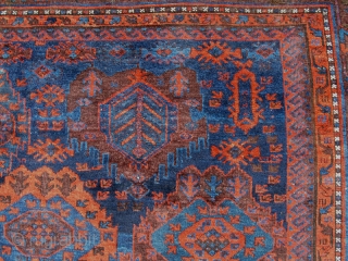 Baluch Timuri 313(359)x217cm                              