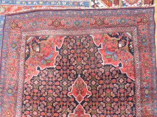 Bidjar rug, 232x143, made around 1930. Very good condition with just very little wear and one restored corner and another just slightly damaged. Nice colours and patina. Difficult to take good photos  ...