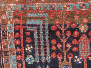 NW Persian tree rug, 1910-1930, probably Kurdish and perhaps Kolyai, 186x138 cm. cotton warps, very good condition and nice colours. Sides looks original.          