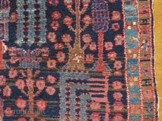 NW Persian tree rug, 1910-1930, probably Kurdish and perhaps Kolyai, 186x138 cm. cotton warps, very good condition and nice colours. Sides looks original.          