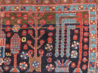 NW Persian tree rug, 1910-1930, probably Kurdish and perhaps Kolyai, 186x138 cm. cotton warps, very good condition and nice colours. Sides looks original.          