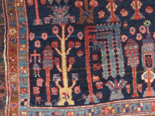 NW Persian tree rug, 1910-1930, probably Kurdish and perhaps Kolyai, 186x138 cm. cotton warps, very good condition and nice colours. Sides looks original.          