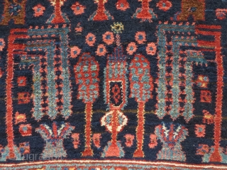 NW Persian tree rug, 1910-1930, probably Kurdish and perhaps Kolyai, 186x138 cm. cotton warps, very good condition and nice colours. Sides looks original.          