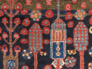 NW Persian tree rug, 1910-1930, probably Kurdish and perhaps Kolyai, 186x138 cm. cotton warps, very good condition and nice colours. Sides looks original.          