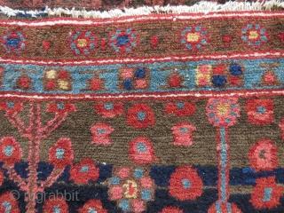 NW Persian tree rug, 1910-1930, probably Kurdish and perhaps Kolyai, 186x138 cm. cotton warps, very good condition and nice colours. Sides looks original.          