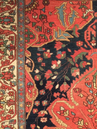 Antique Mishan Malayer rug,1910-1925, 153x113 cm. It´s very thin and has high knot density, the surface is like velvet. Rug has about nine small holes and has lost its knots in one  ...