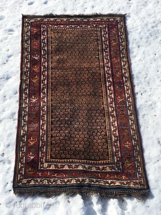 Antique or very close to be Luri rug in good clean condition and with nice wool and colours. Rug is 254x138 cm, ends are fine and the sides are partly restored.  