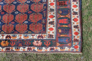 High quality rug NV Persia late 19th c. 203x147. Intense dyes and the best Kurdish wool, just a little corrosion and selvedge over binding.         