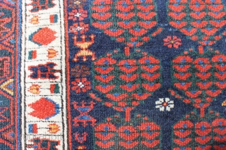 High quality rug NV Persia late 19th c. 203x147. Intense dyes and the best Kurdish wool, just a little corrosion and selvedge over binding.         