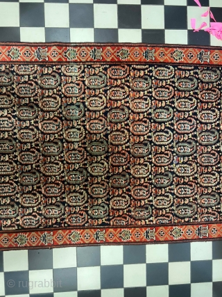 Antique mishan malayer 160x90cm.
End of 19th. Full pile. 
Great vegetable colors. Natural orange and pink dyes.
                 