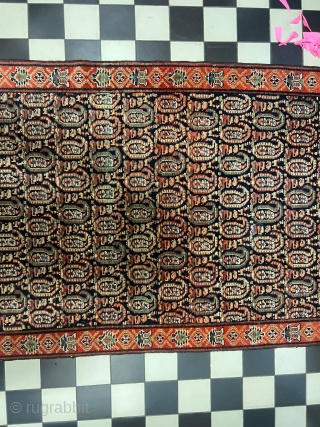Antique mishan malayer 160x90cm.
End of 19th. Full pile. 
Great vegetable colors. Natural orange and pink dyes.
                 