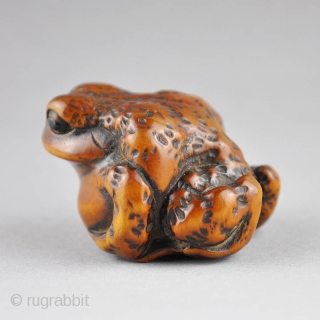Japanese wood netsuke depicting a large toad.
The animal is carved realistically with attention to detail and the eyes are inlaid in horn.
Beautiful patina. Unsigned. 19th century, cm 4,1 x 3,5 x 2,5
 
