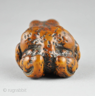 Japanese wood netsuke depicting a large toad.
The animal is carved realistically with attention to detail and the eyes are inlaid in horn.
Beautiful patina. Unsigned. 19th century, cm 4,1 x 3,5 x 2,5
 