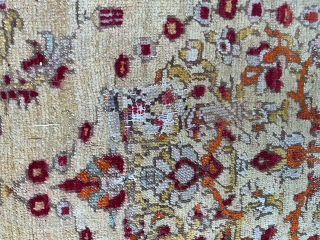 Central Anatolie. Sivas ?
Contact via WhatsApp : +33 (0) 614362146