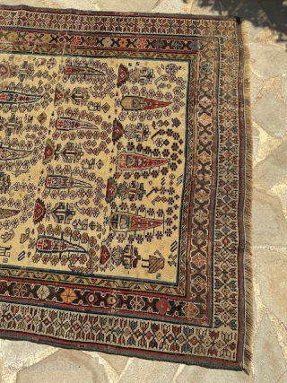 Runner Chirvan 308 x 126
Contact via WhatsApp : +33 (0) 614362146